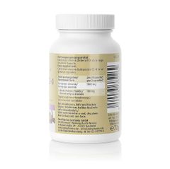 ZEIN PHARMA Cordyceps CS-4 Kapseln - Viên nang đông trùng hạ thảo Cordyceps CS-4 500mg, hộp 120 viên