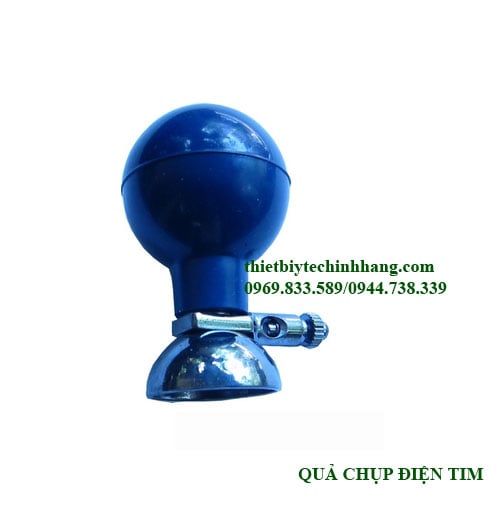 QUẢ CHỤP ĐIỆN TIM