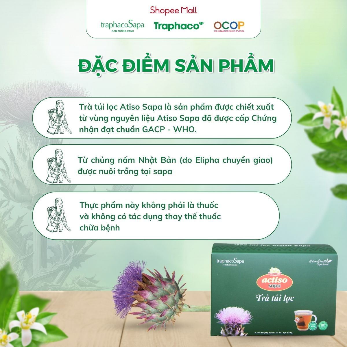 Trà Túi Lọc Actiso/ Atiso Sapa TRAPHACOSAPA Hỗ Trợ Sức Khoẻ Thanh Lọc Cơ Thể Hộp 20 Túi Lọc