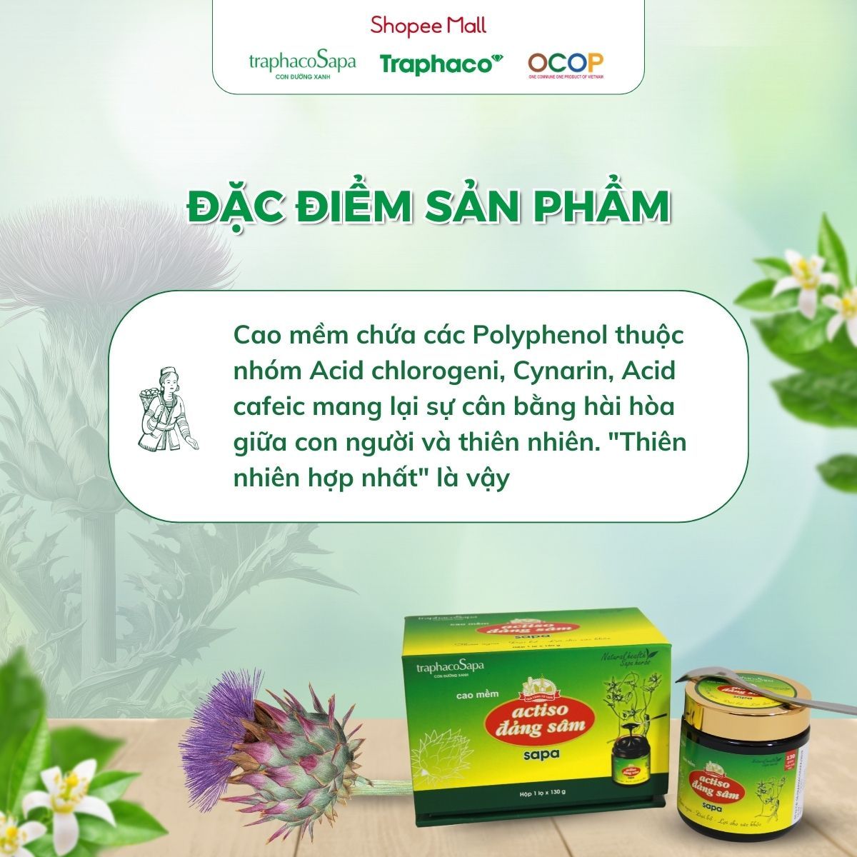 Cao Mềm Atiso Đảng Sâm Sapa TRAPHACOSAPA Loại Đậm Đặc Actiso Chống Lão Hoá Thanh Lọc Gan 130gr
