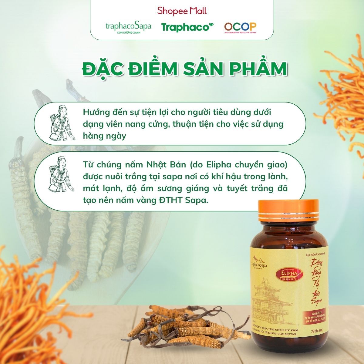 Viên Nang Đông Trùng Hạ Thảo Sapa TRAPHACOSAPA OCOP 3 Sao Tăng Sức Đề Kháng Giảm Mệt Mỏi Hộp 28 Viên