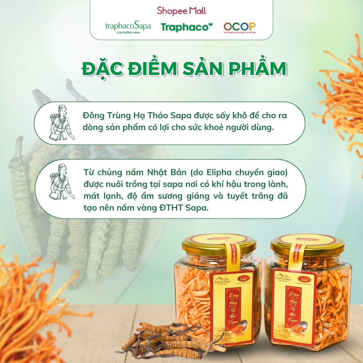 Đông Trùng Hạ Thảo Sapa Sấy Thăng Hoa TRAPHACOSAPA Nâng Cao Sức Khoẻ Giảm Mệt Mỏi 10gr