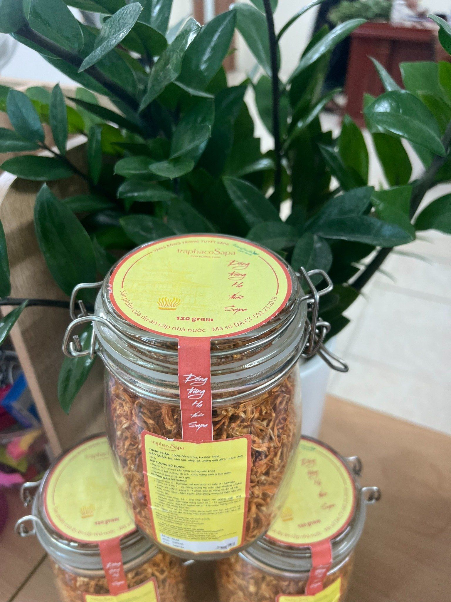 Đông trùng hạ thảo Sapa khô 120g