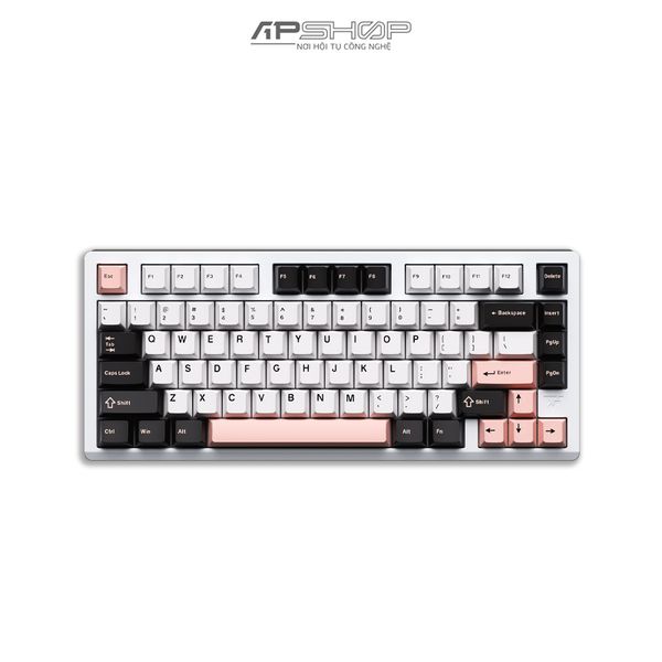 Bàn phím cơ Custom VGN VXE75 Trans White RGB | 80 Key | Hotswap | 3 Mod | Chính hãng