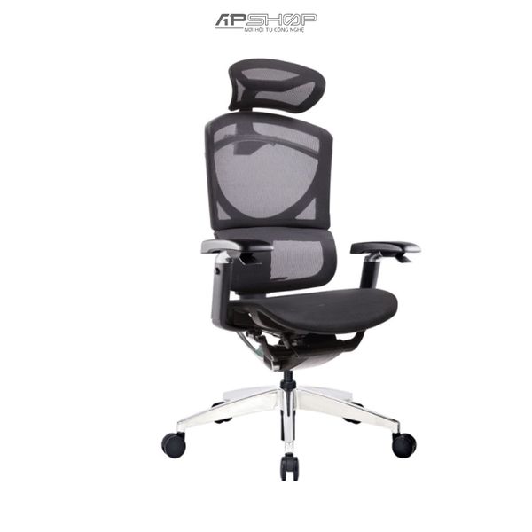 Ghế Ergonomic GTChair Dvary Isee | Ghế bảo vệ sức khỏe