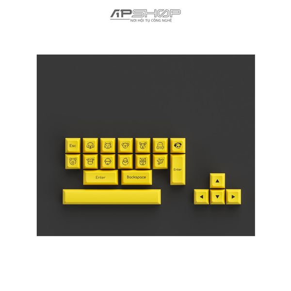 Keycap AKKO Black Gold ABS Double-Shot SA Leveled profile | Chính hãng