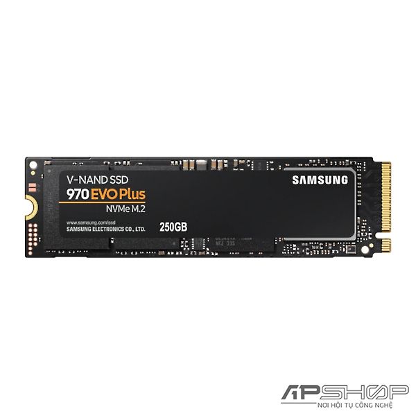 SSD Samsung 970 EVO Plus - 250GB