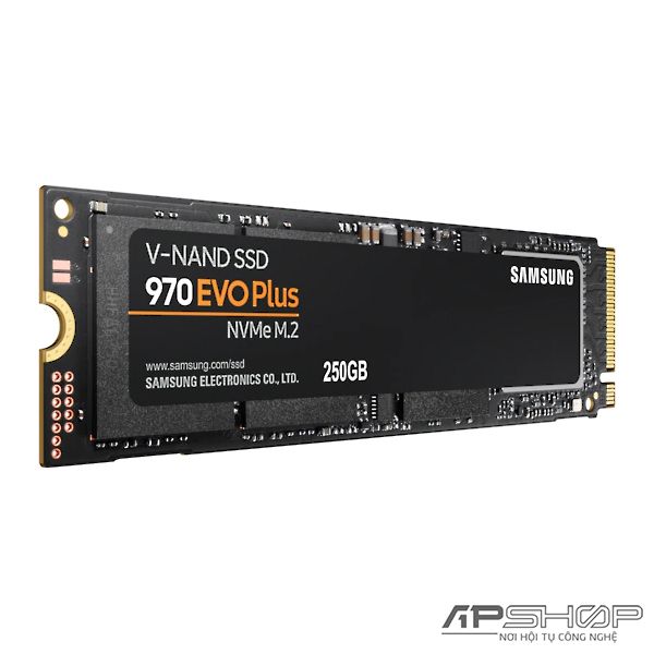 SSD Samsung 970 EVO Plus - 250GB