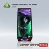 CASE VSP ESPORT REPUBLIC OF GAMERS ES4