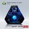 CASE VSP ESPORT REPUBLIC OF GAMERS ES4