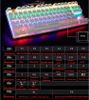 Bàn Phím Cơ Zero E-Sports Gaming Gear Led Rainbow Fullsize 104 phím