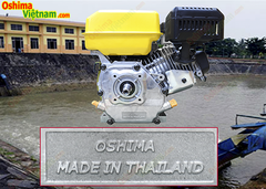 Máy nổ OSHIMA GOLD OSG60 6.5HP