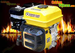 Máy nổ OSHIMA GOLD OSG60 6.5HP