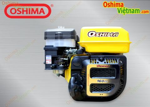 Máy nổ OSHIMA GOLD OSG60 6.5HP