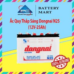 Ắc Quy Thắp Sáng Dongnai N25  (12V-25Ah)