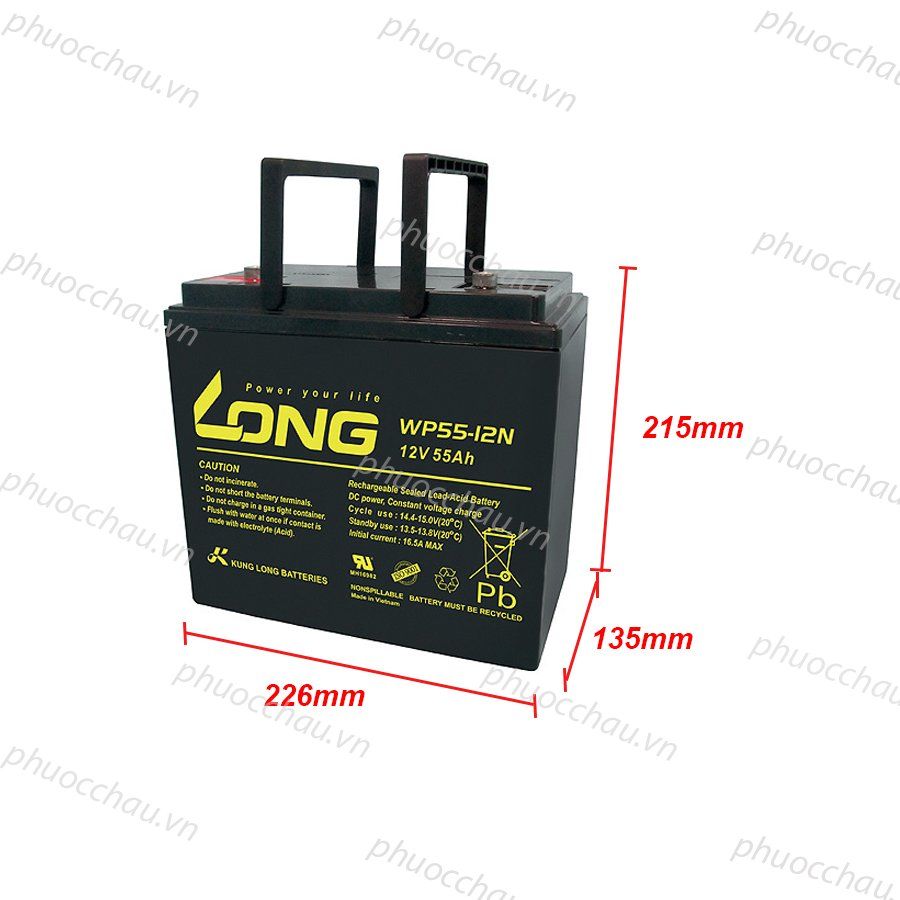 Ắc Quy LONG WP55-12N (12V-55Ah)