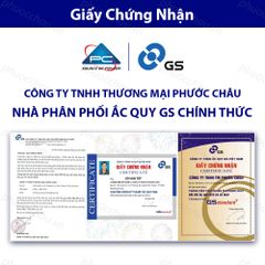 Ắc Quy GS MF 115D33C 115D33V (12V-100AH)