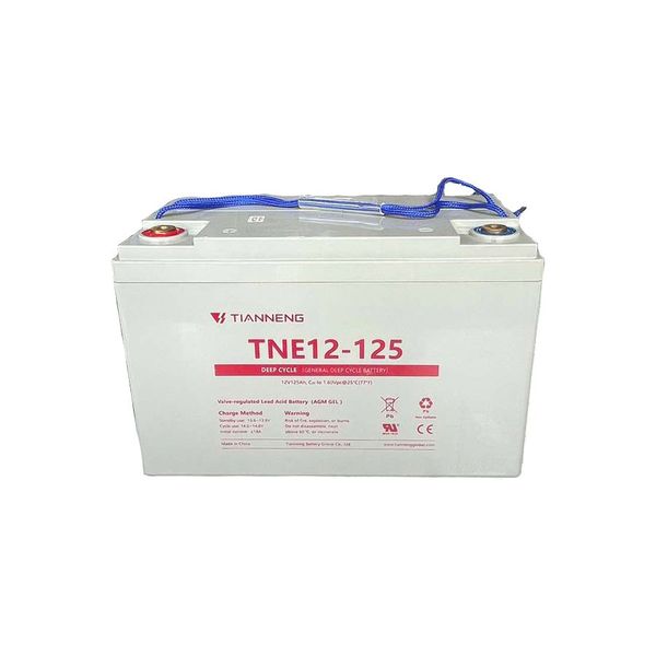 Ắc Quy Thiên Năng Tianneng TNE12-125 (12V - 125Ah),  ắc quy dùng cho xe điện, xe golf, xe chà sàn