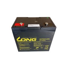 Ắc Quy LONG WP55-12N (12V-55Ah)