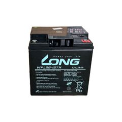 Ắc Quy LONG WPL28-12TN (12V-28AH)