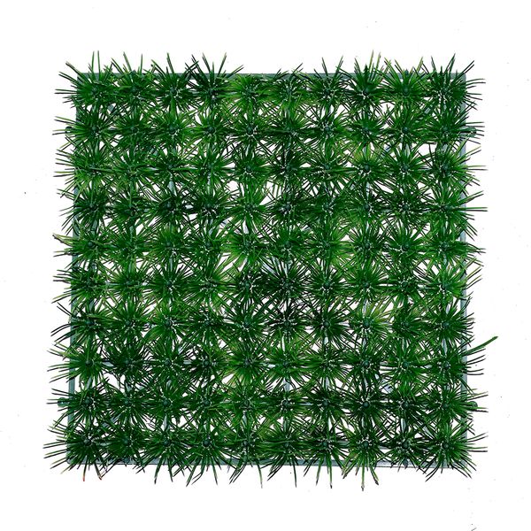 Thảm cỏ kim nhỏ