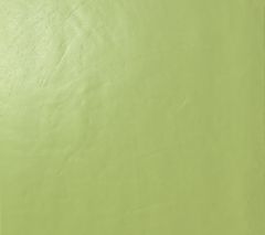  Arch Acid Green Gloss 