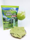  Matcha Catechin Túi Lọc 