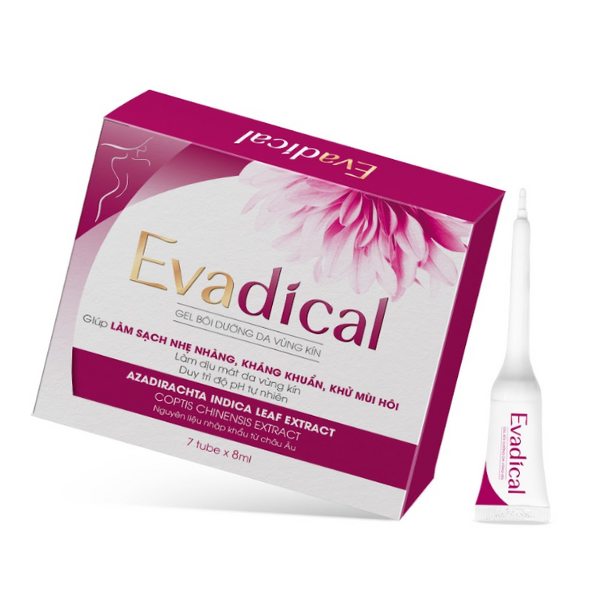 Gel Vệ Sinh Vùng Kín Fusin Evadical