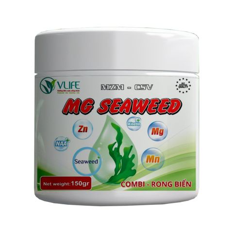 MG SEAWEED - TRUNG VI LƯỢNG CAO CẤP