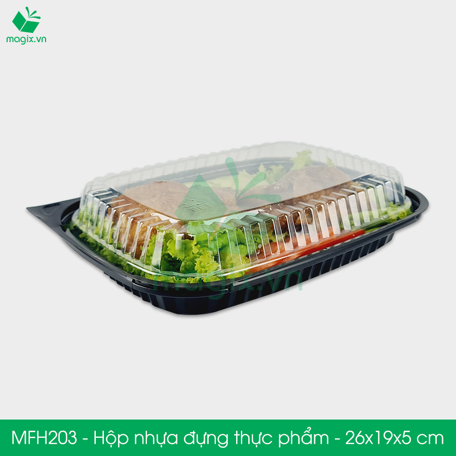 MFH203 - Hộp nhựa đế đen nắp trong HT203 - 26x19x5 cm