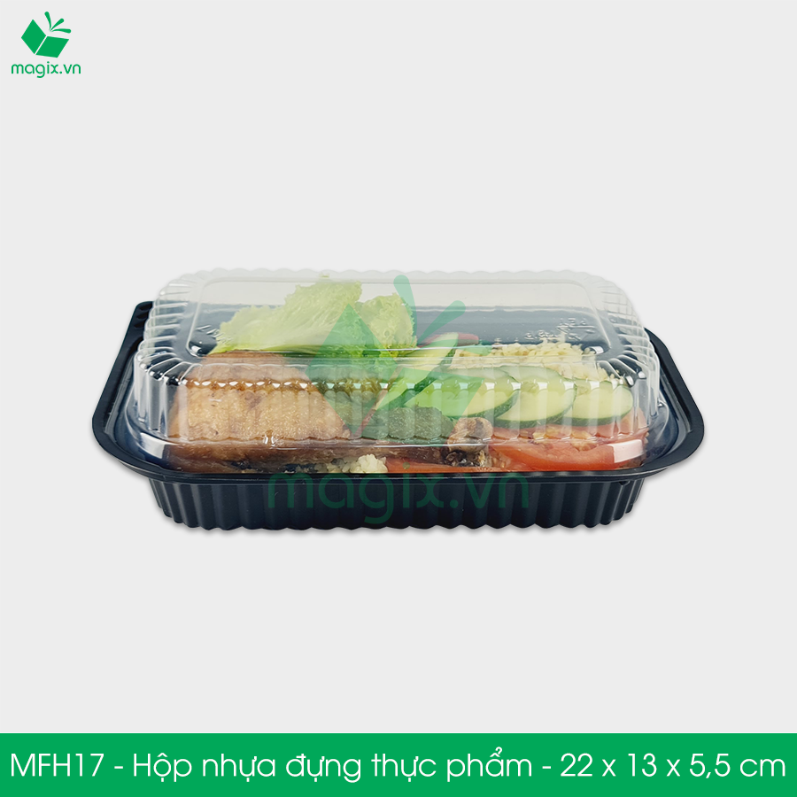 MFH17 - Hộp nhựa đế đen nắp trong HT17 - 22x13x5.5 cm