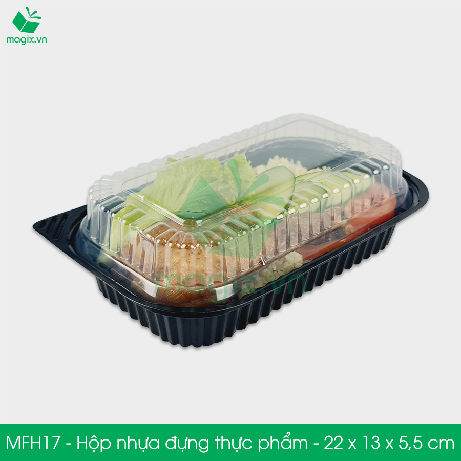 MFH17 - Hộp nhựa đế đen nắp trong HT17 - 22x13x5.5 cm