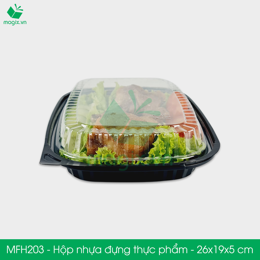 MFH203 - Hộp nhựa đế đen nắp trong HT203 - 26x19x5 cm