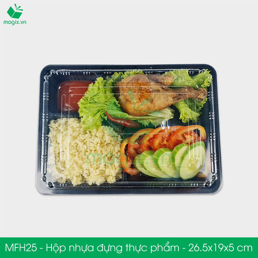 MFH25 - Hộp nhựa đế đen nắp trong HT25 - 26.5x19x5 cm