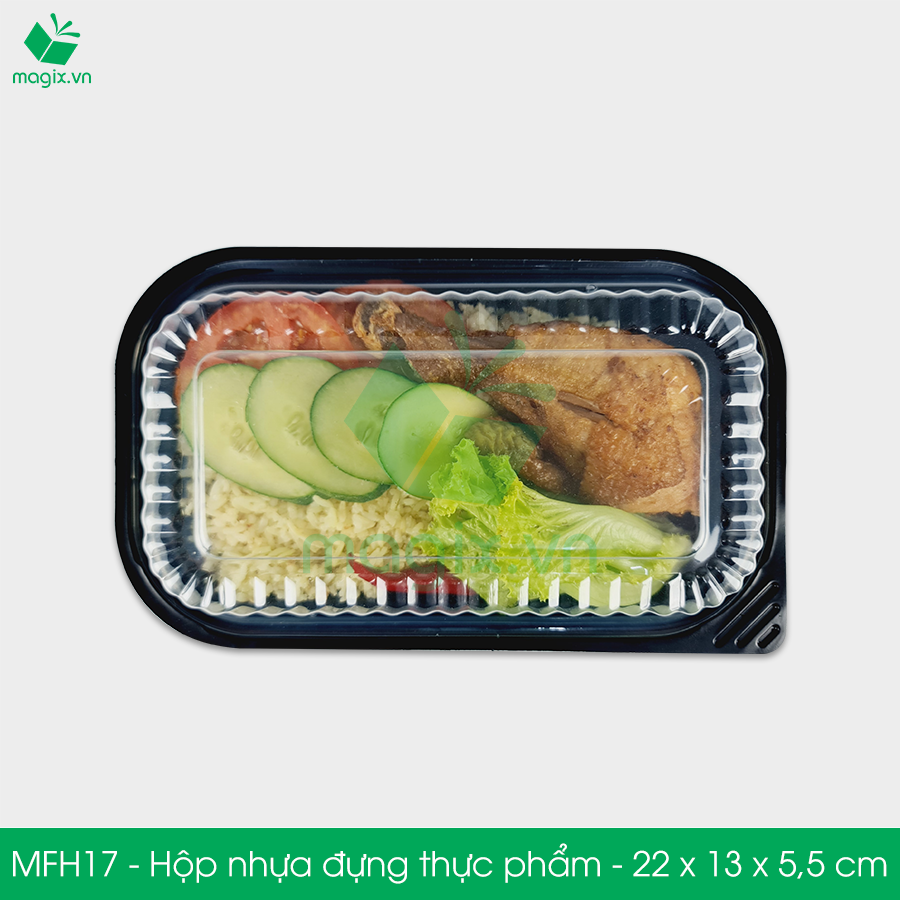MFH17 - Hộp nhựa đế đen nắp trong HT17 - 22x13x5.5 cm
