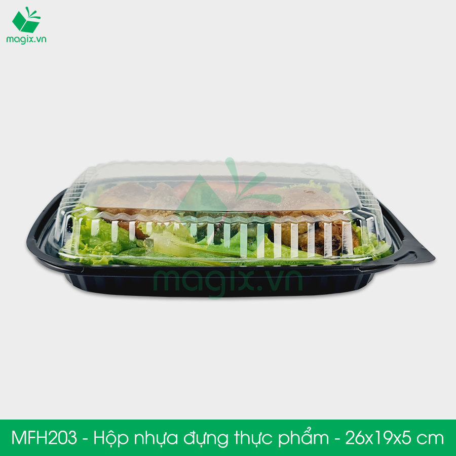 MFH203 - Hộp nhựa đế đen nắp trong HT203 - 26x19x5 cm