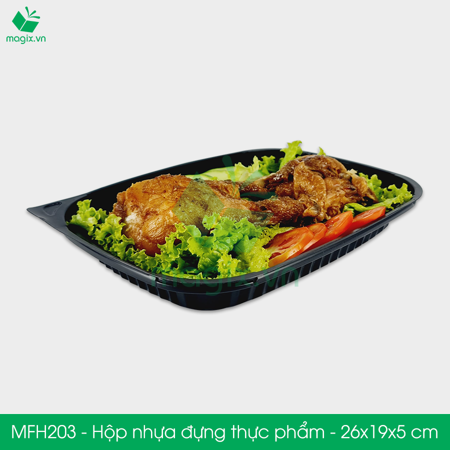 MFH203 - Hộp nhựa đế đen nắp trong HT203 - 26x19x5 cm