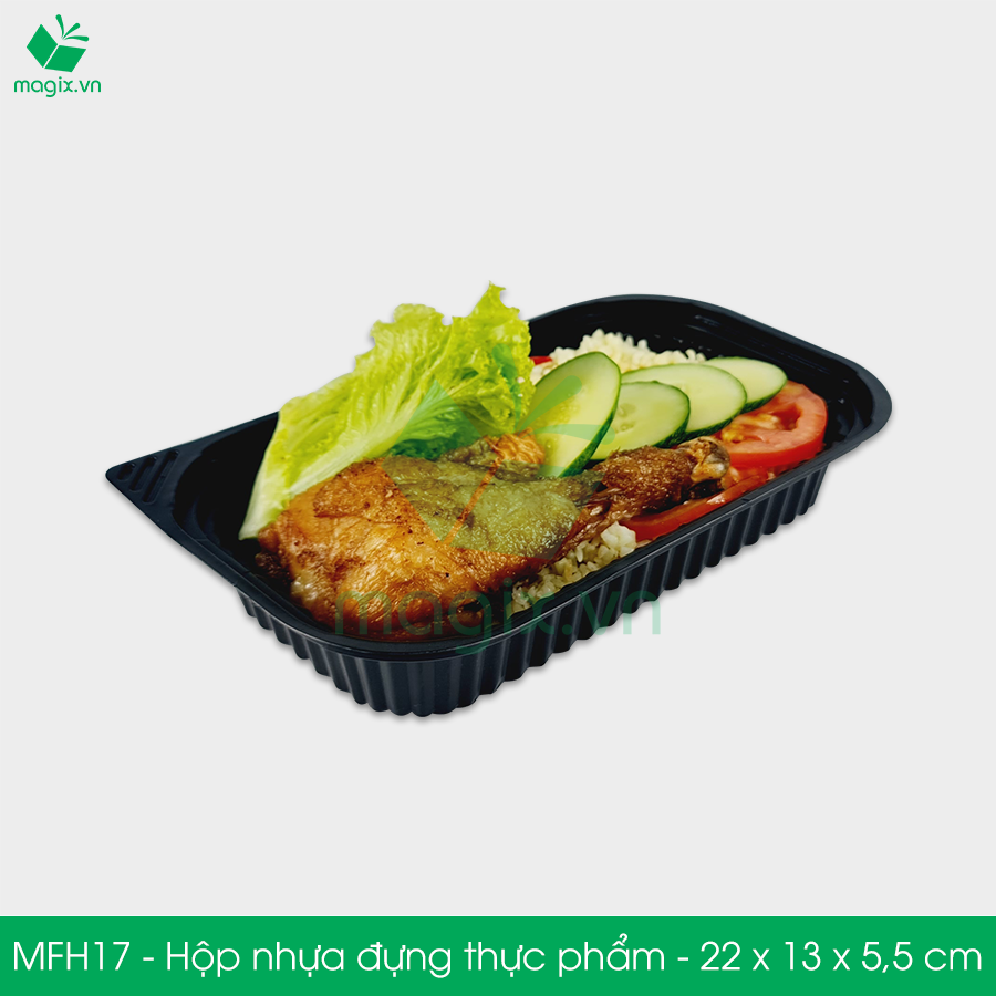 MFH17 - Hộp nhựa đế đen nắp trong HT17 - 22x13x5.5 cm
