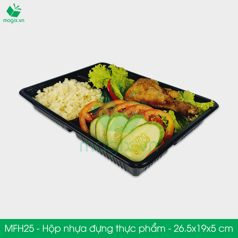 MFH25 - Hộp nhựa đế đen nắp trong HT25 - 26.5x19x5 cm