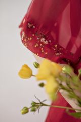 Áo dài Bách Hoa Xuân - Đỏ hoa đỏ