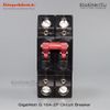 GigaWatt G 16A 2P Circuit Breaker