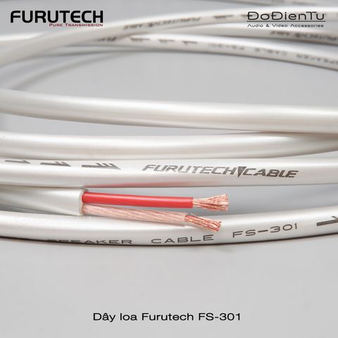 day-loa-furutech-fs-301