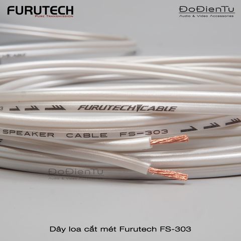 day-loa-furutech-fs-303