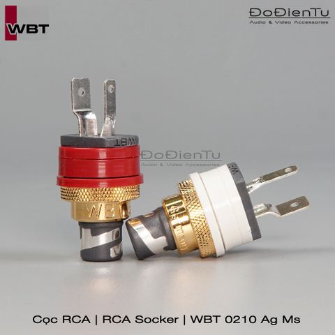 coc-rca-wbt-0210-ag-ms