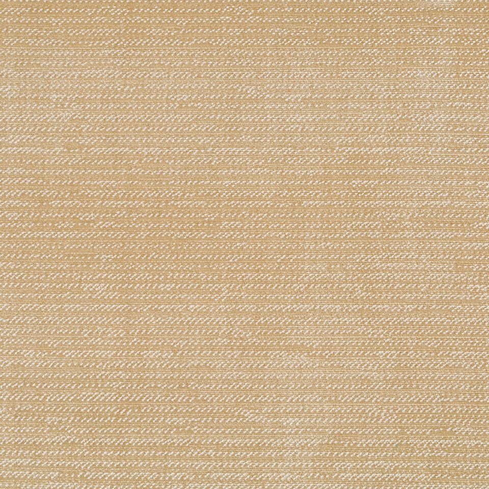BRUSH VELVET vải nhung chải kỹ tại nhà máy