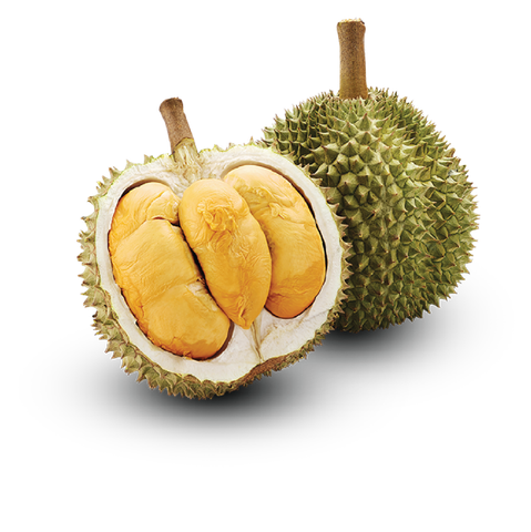 Sầu riêng Black Thorn Việt Nam | 1,7Kg - 2Kg/Trái (I0016398)