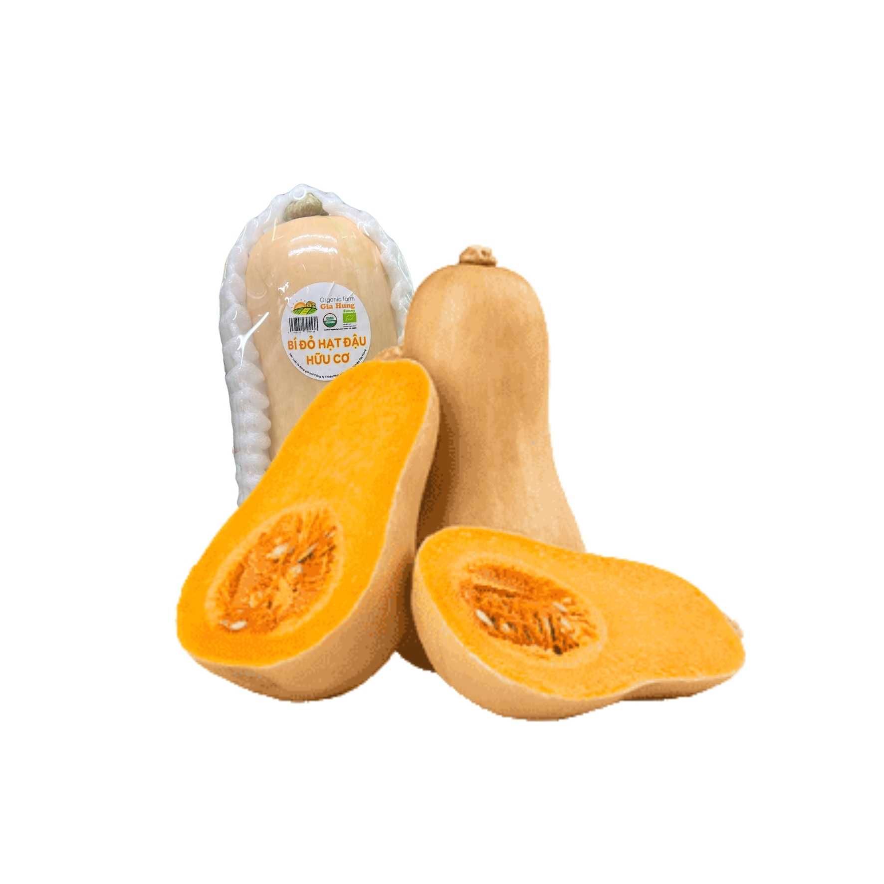 Bí đỏ hạt đậu hữu cơ Gia Hưng