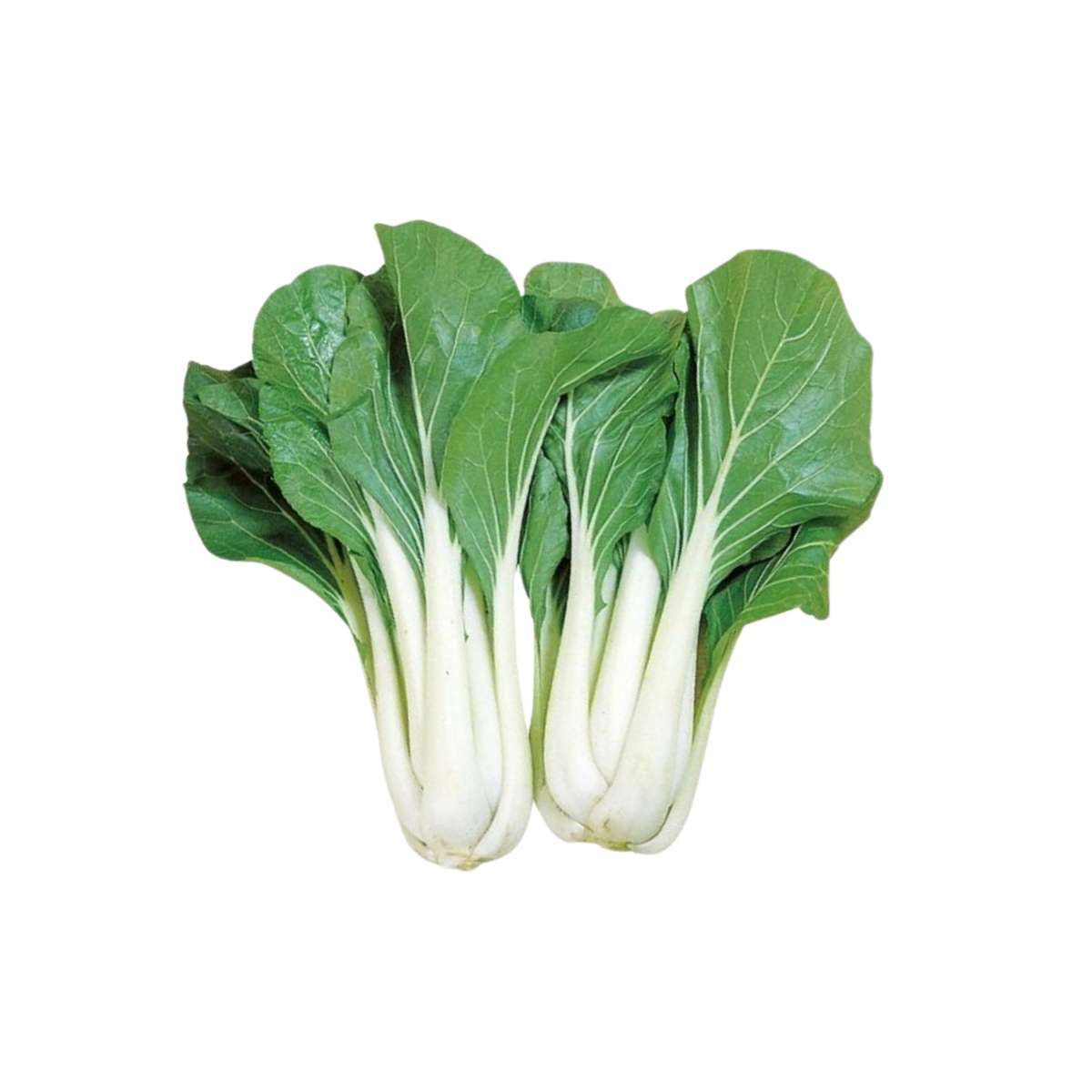 Cải bẹ trắng organic Gia Hưng 300 g