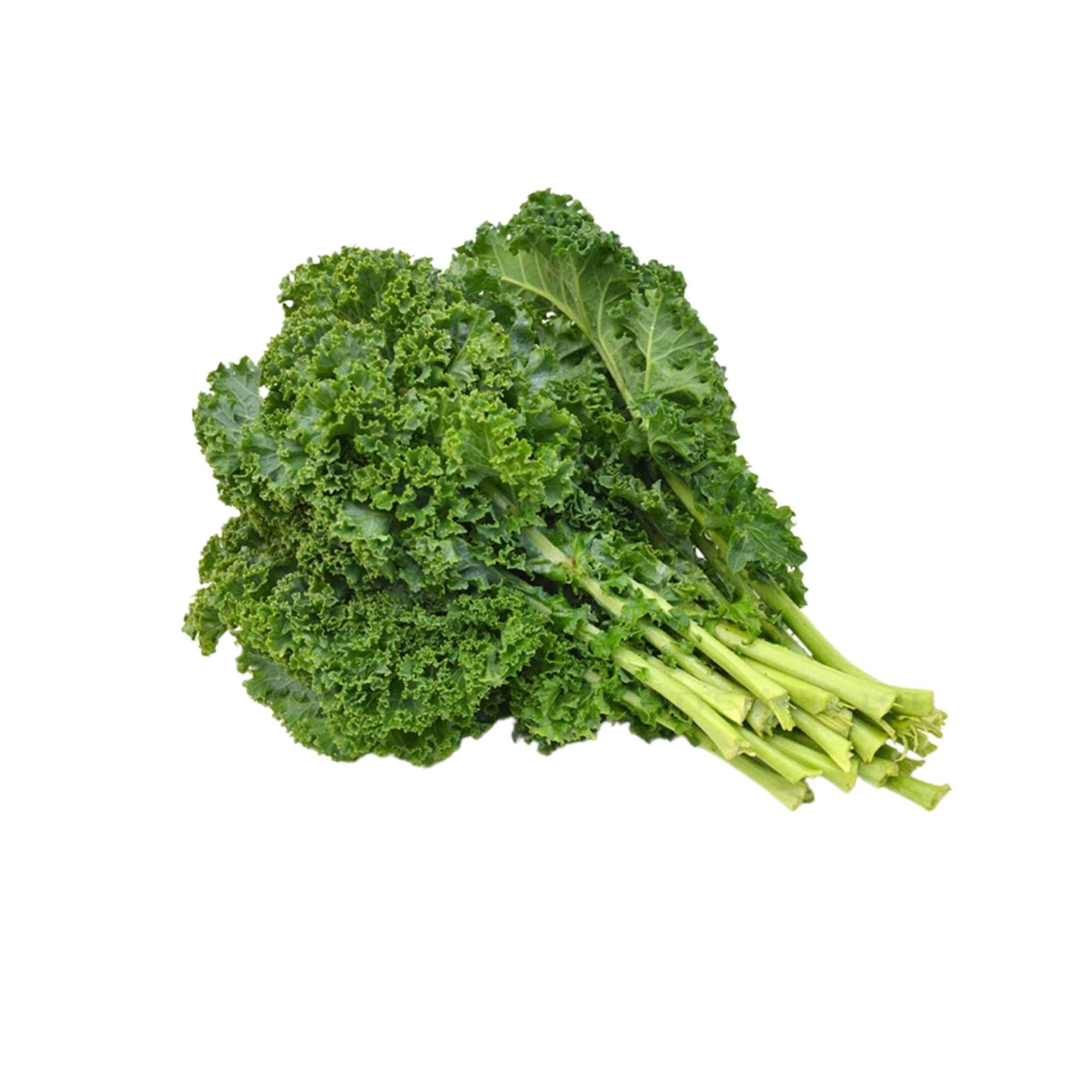 Cải xoăn kale Vietgap Trường Phát 200 g