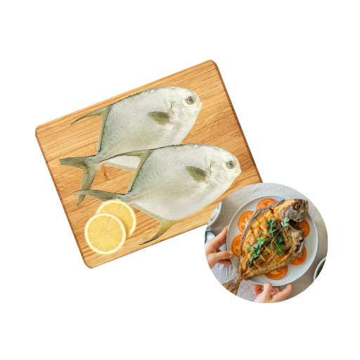 [Tươi] Cá chim trắng làm sạch Alo Fish (350G - 500G/Con) (I0015081)